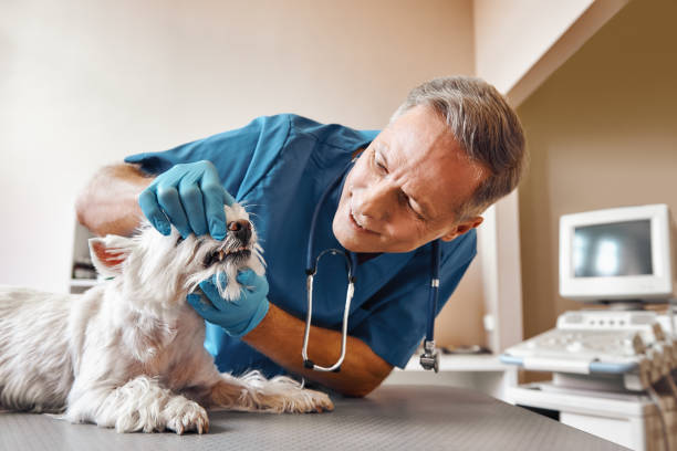 Dentist for Dental Trauma in NJ